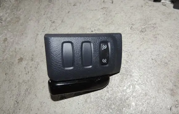Renault Laguna II Cruise control stalk 