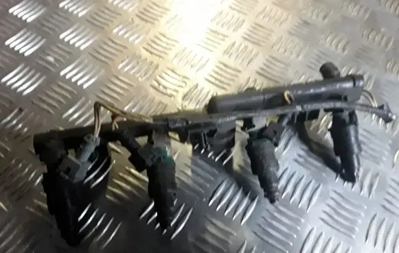 Renault Kangoo I Fuel injectors set 7700868573 875368