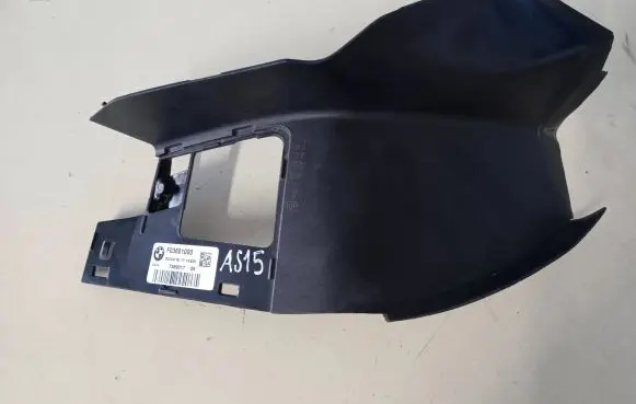 Rear/tail light trim molding