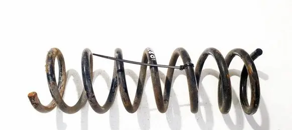 Ford Focus C-MAX Rear coil spring 