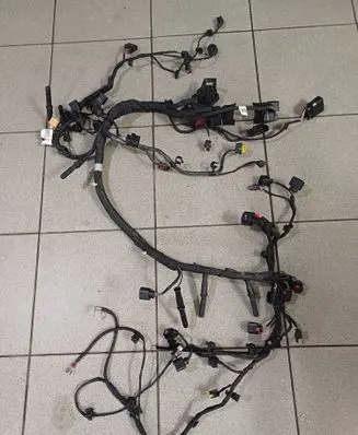 Engine installation wiring loom