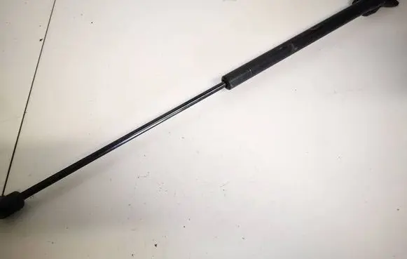 Tailgate/trunk strut/damper