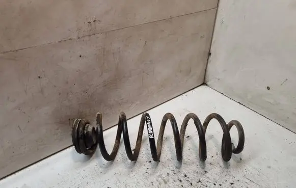 Rear coil spring