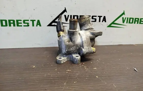 Thermostat/thermostat housing