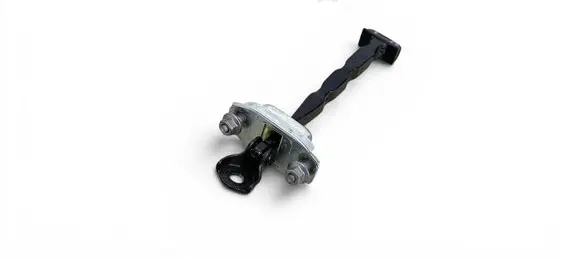 Renault Symbioz Front door check strap stopper 20250612B 55799