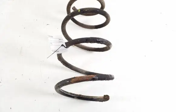 Front coil spring