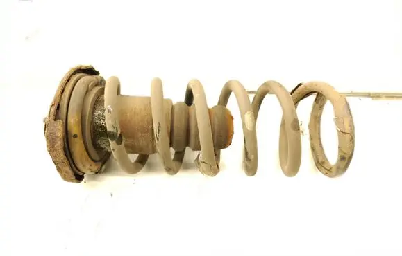 Rear coil spring