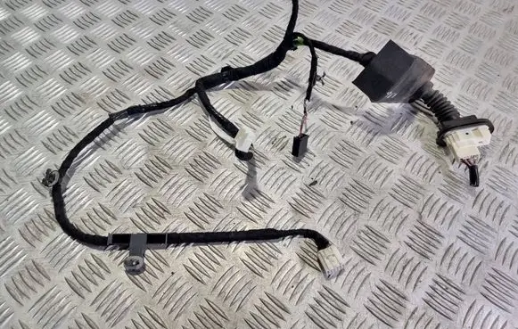 Rear door wiring loom