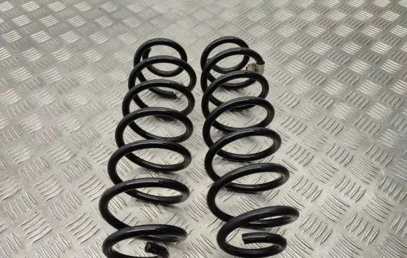 Rear coil spring