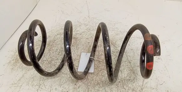 Rear coil spring