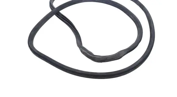BMW X3 G01 Rubber seal front coupe door 7393423