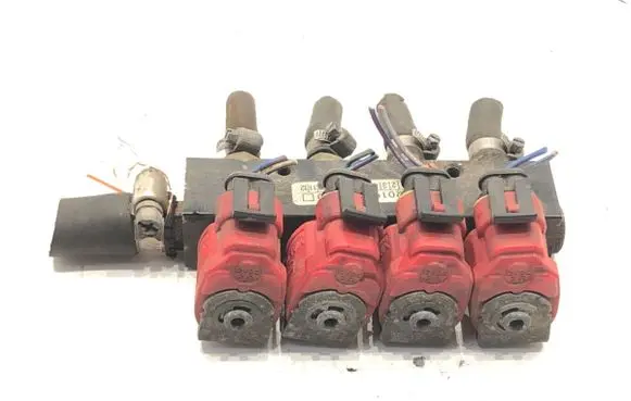 Chevrolet Aveo LP gas injector 67R010104