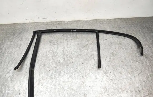 Volvo S60 Rear door glass trim molding 