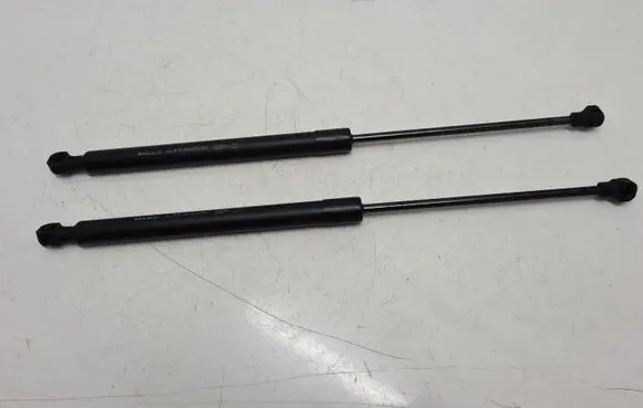Dacia Sandero Tailgate/trunk strut/damper 904529943R
