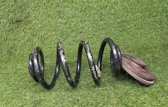 Buick Encore I Rear coil spring 42398115