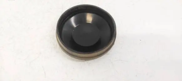 Headlight/headlamp dust cover