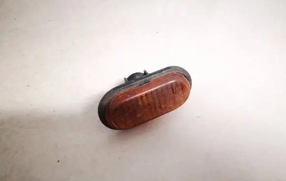 Front fender indicator light