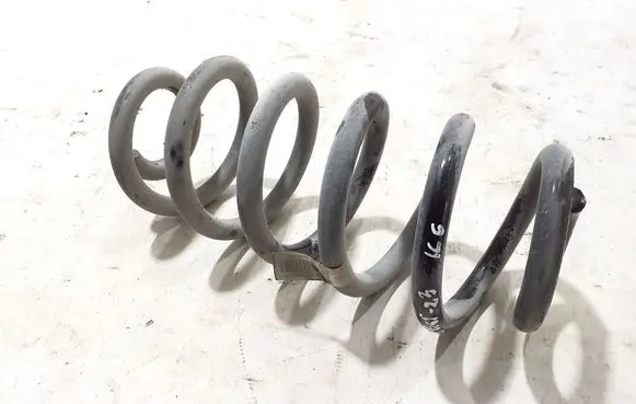 Polestar 2 Rear coil spring 32373737