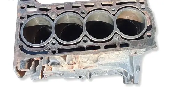 Volkswagen Golf V Engine block 03C021