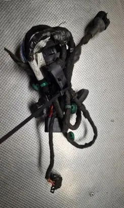 Audi A4 S4 B7 8E 8H Rear door wiring loom 8E0971687L