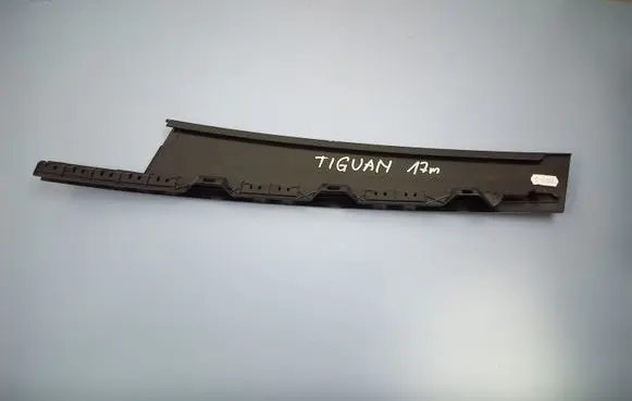 Volkswagen Tiguan Front door glass trim molding 5NA837901C