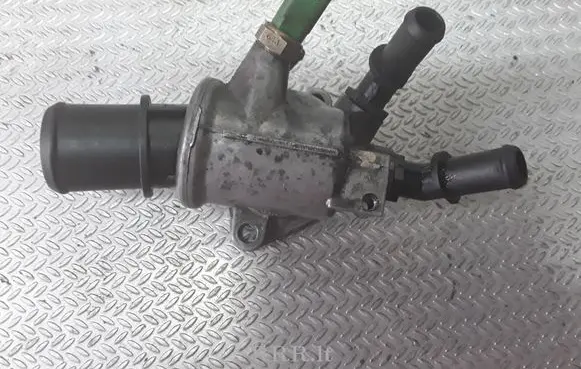 Thermostat/thermostat housing