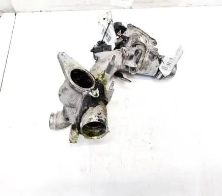 Renault Kangoo II Throttle valve 161A09794R 311421213
