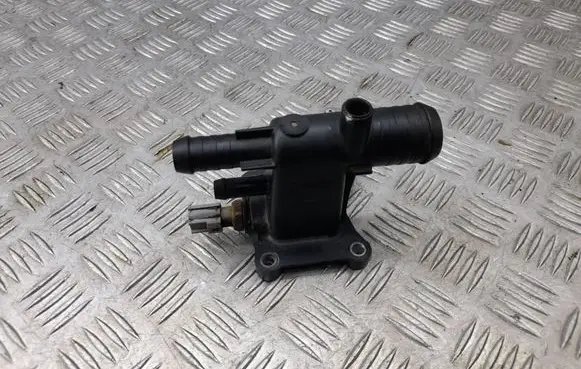 Thermostat/thermostat housing
