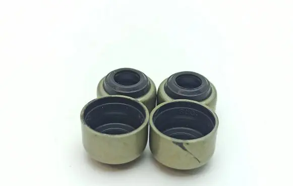 Aixam 500 Valve 11420-13150