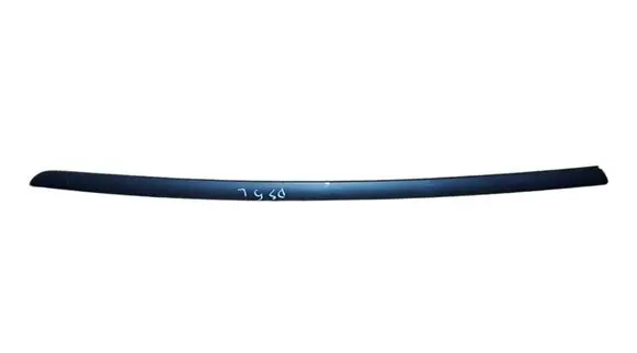 Citroen DS5 Windshield trim 9687248080