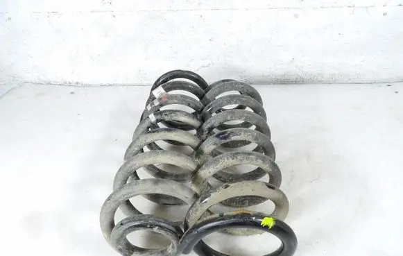 Rear coil spring