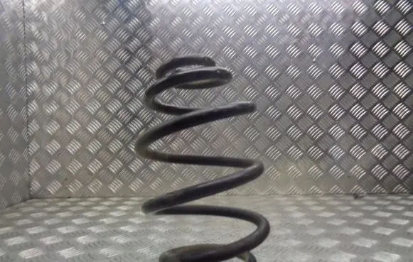 Volkswagen PASSAT B5.5 Rear coil spring
