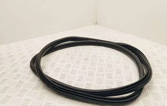 Citroen DS4 Front door rubber seal