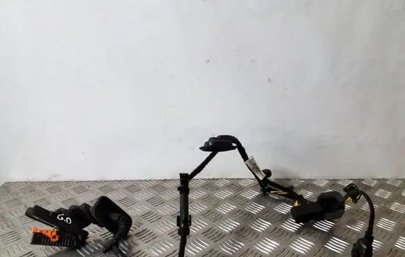 Volkswagen Touran II Rear door wiring loom 1T0971693EG