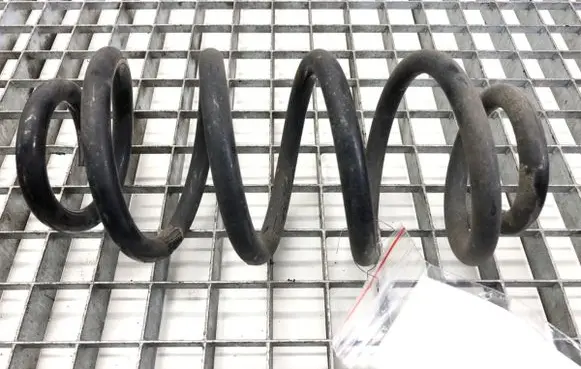 Rear coil spring