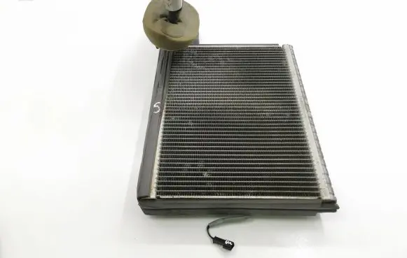 Land Rover Range Rover Sport L320 Air conditioning (A/C) radiator (interior) 