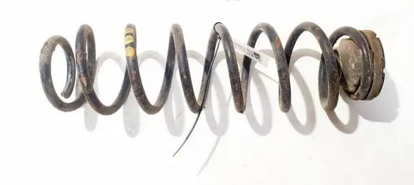 Rear coil spring