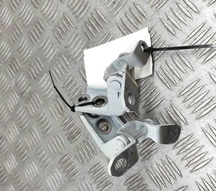 Nissan Qashqai J12 Front door hinges set 804216UA1A