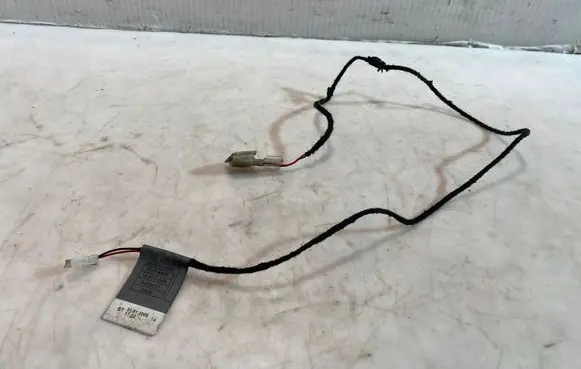 Front door wiring loom