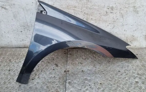 Renault Laguna III Fender