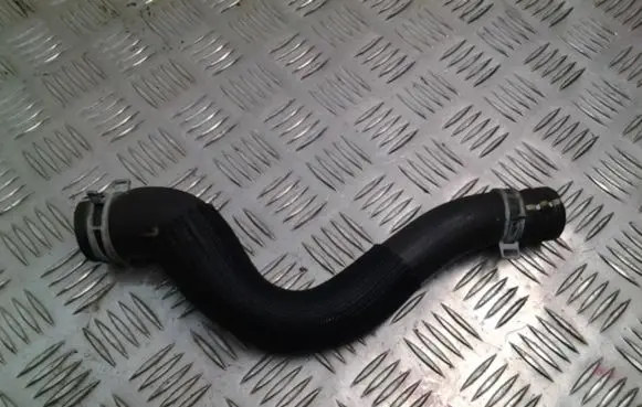 Citroen Berlingo Engine coolant pipe/hose