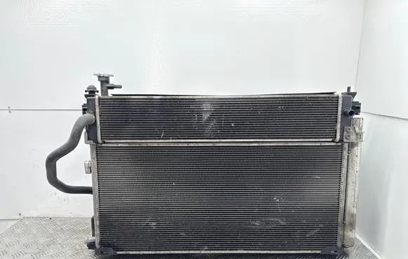 Toyota RAV 4 (XA50) Radiator set 1636331500 2685003000