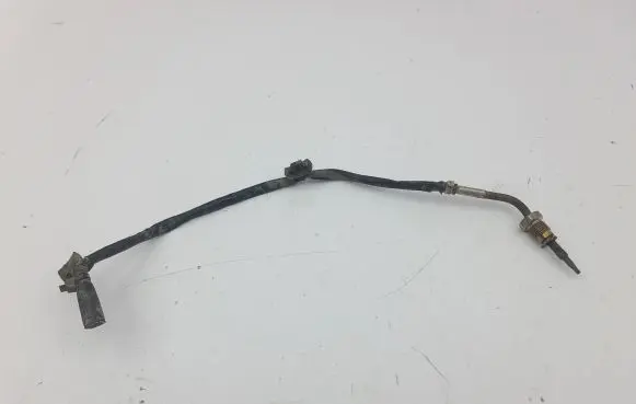 Hyundai Kona I Exhaust gas temperature sensor 3926003410