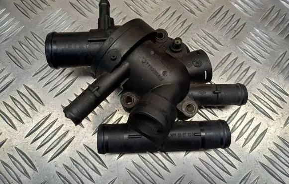 Thermostat/thermostat housing