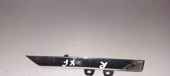 Jaguar XF X250 Front door trim (molding) 8X2317E701