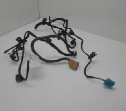 Volkswagen Phaeton Rear door wiring loom 3D0971694BJ
