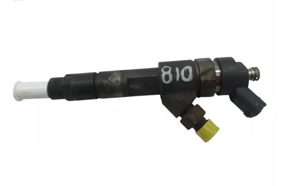 Citroen Jumper Fuel injector 0445120002