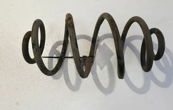 Rear coil spring