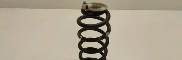 Renault Twingo III Rear coil spring