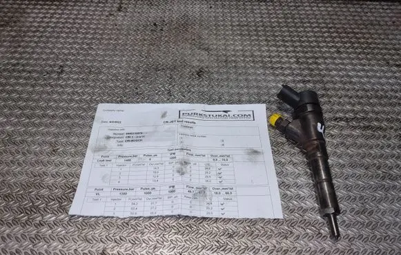 Peugeot Expert Fuel injector 0445110076